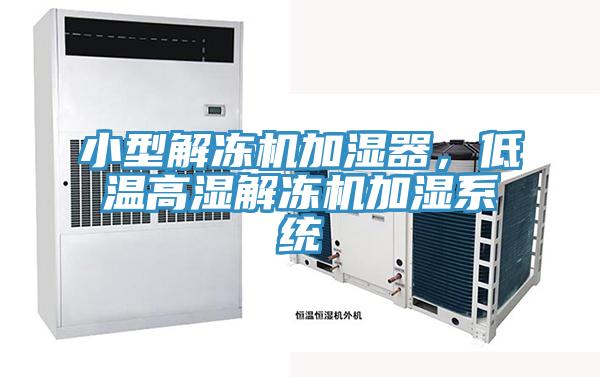 小型解凍機(jī)加濕器，低溫高濕解凍機(jī)加濕系統(tǒng)