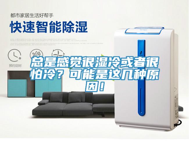 總是感覺很濕冷或者很怕冷？可能是這幾種原因！