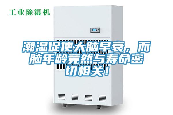 潮濕促使大腦早衰，而腦年齡竟然與壽命密切相關(guān)！