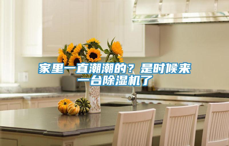 家里一直潮潮的？是時(shí)候來(lái)一臺(tái)除濕機(jī)了