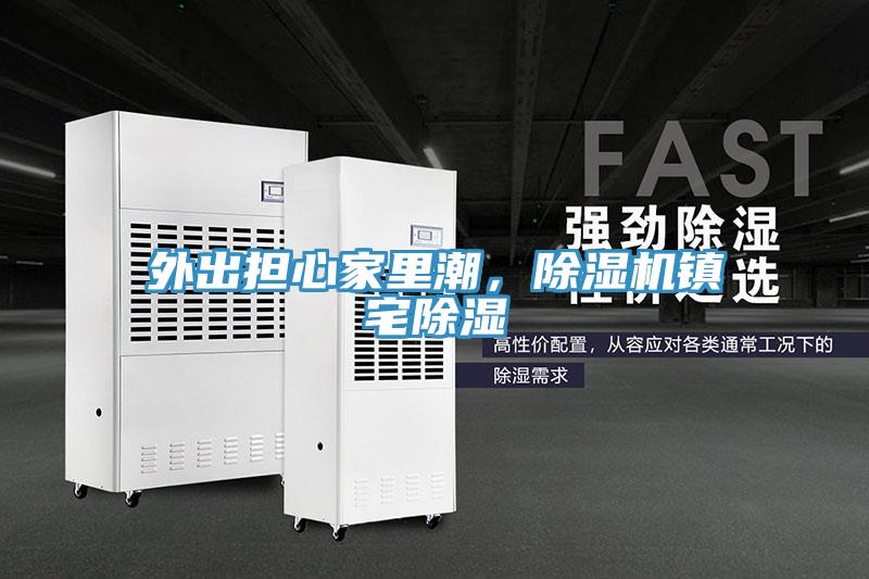 外出担心家里潮，除湿机镇宅除湿