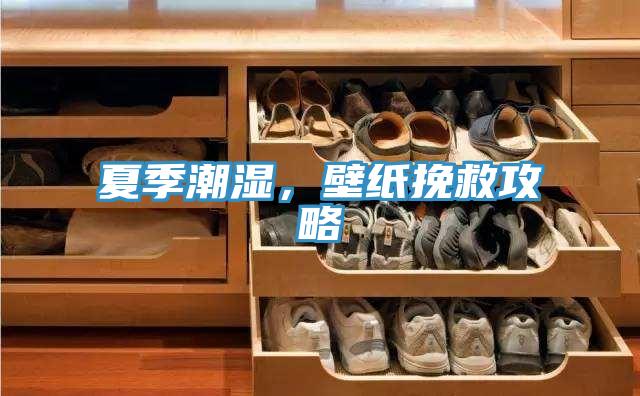 夏季潮湿，壁纸挽救攻略