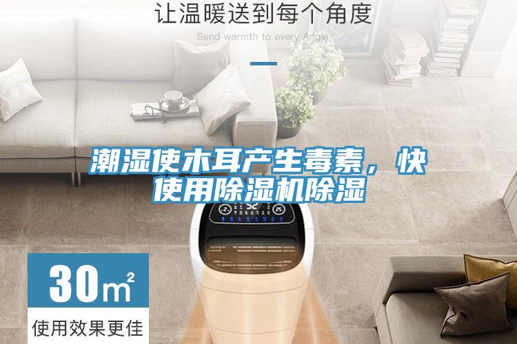 潮濕使木耳產(chǎn)生毒素，快使用除濕機(jī)除濕