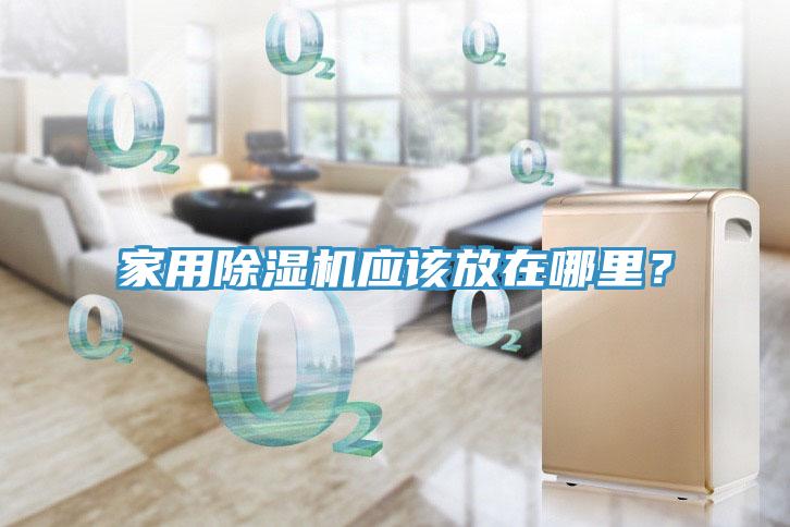家用除湿机应该放在哪里？