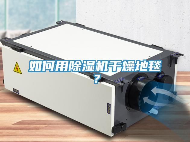 如何用除湿机干燥地毯？