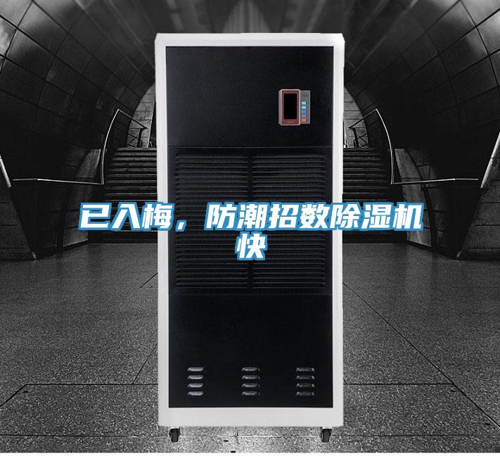 已入梅，防潮招數(shù)除濕機快