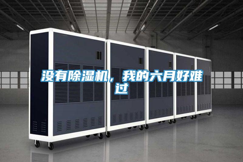 沒有除濕機，我的六月好難過