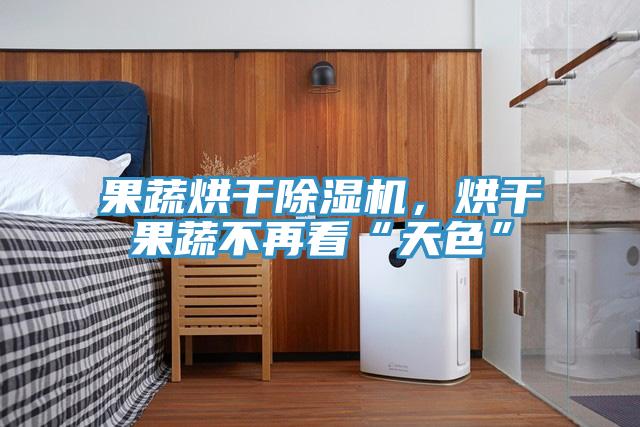 果蔬烘干除濕機(jī)，烘干果蔬不再看“天色”