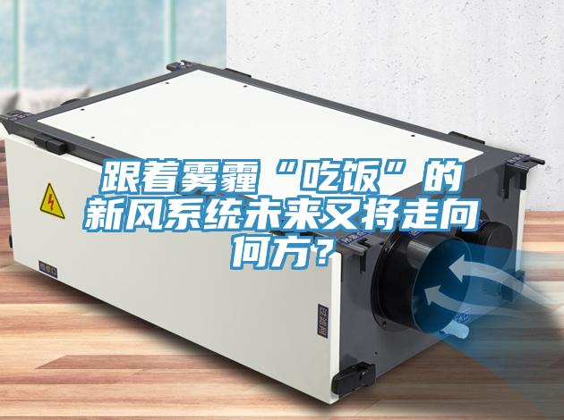 跟著霧霾“吃飯”的新風(fēng)系統(tǒng)未來又將走向何方？