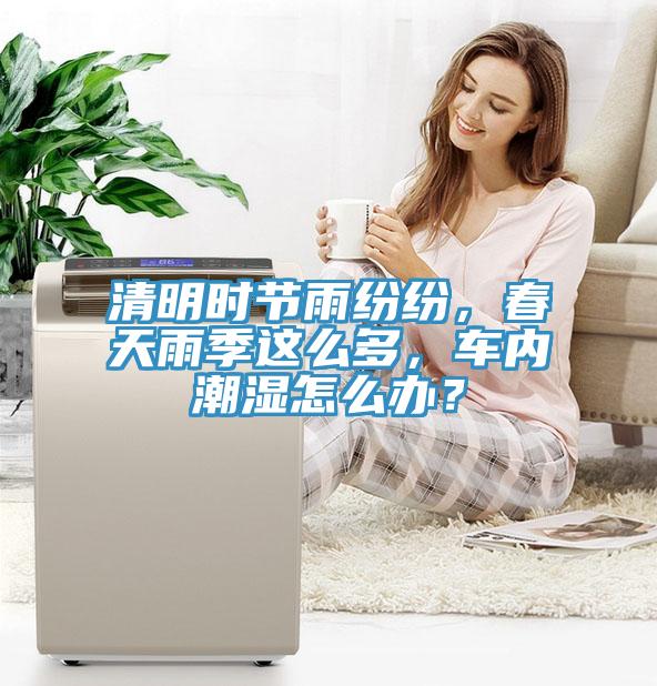 清明時節(jié)雨紛紛，春天雨季這么多，車內潮濕怎么辦？