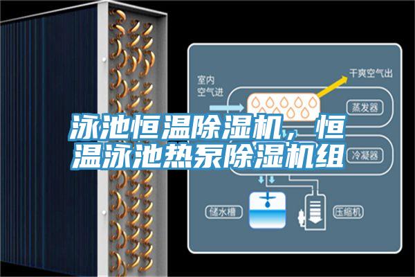 泳池恒溫除濕機(jī)，恒溫泳池?zé)岜贸凉駲C(jī)組