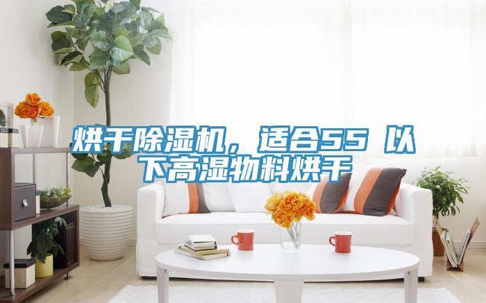 烘干除濕機，適合55℃以下高濕物料烘干
