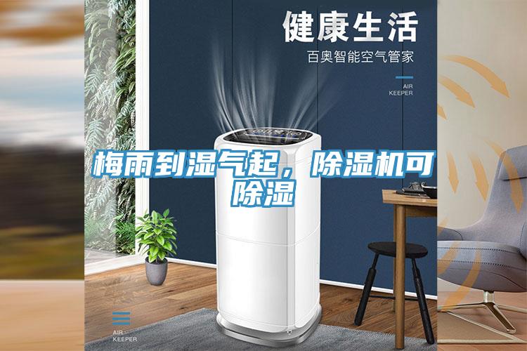 梅雨到濕氣起，除濕機可除濕