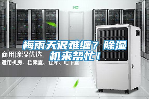 梅雨天很難纏？除濕機來幫忙！