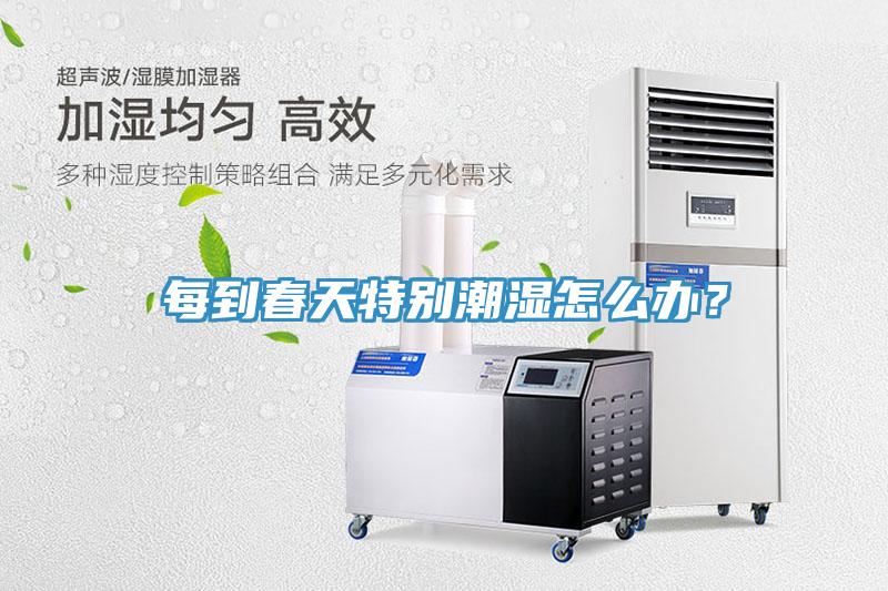 每到春天特別潮濕怎么辦？
