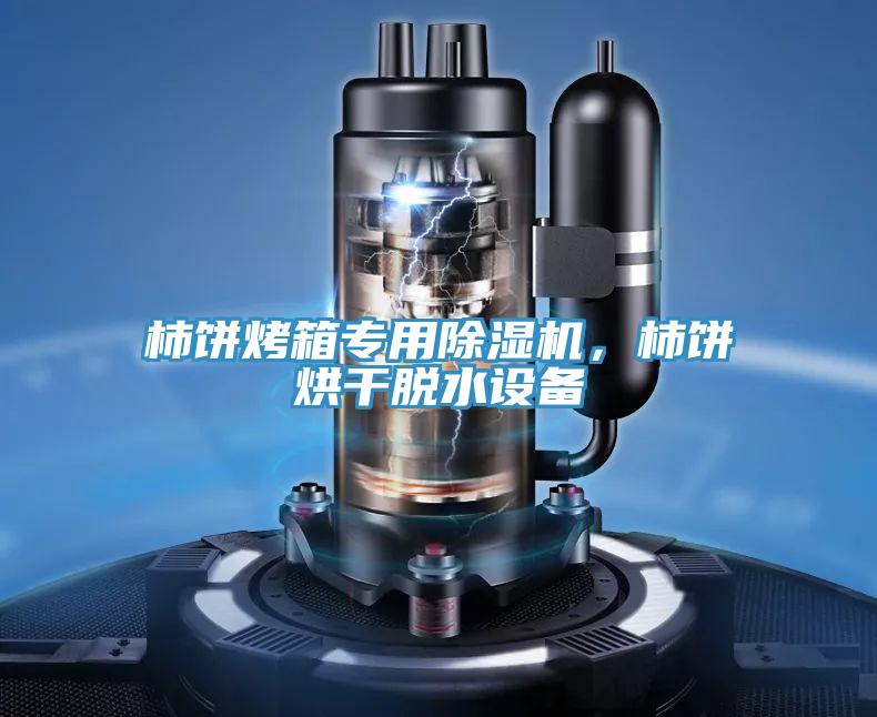 柿餅烤箱專用除濕機，柿餅烘干脫水設備