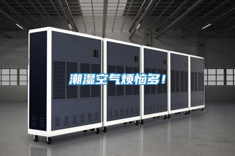 潮濕空氣煩惱多！