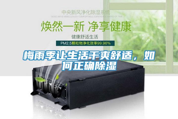 梅雨季讓生活干爽舒適，如何正確除濕