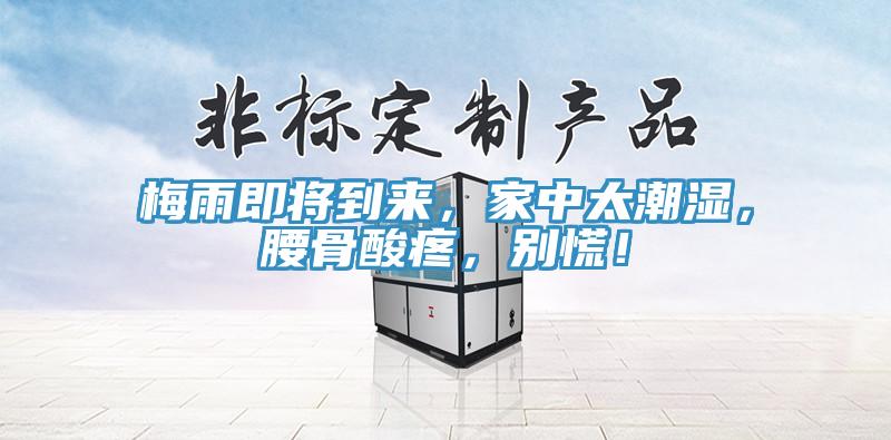 梅雨即將到來，家中太潮濕，腰骨酸疼，別慌！