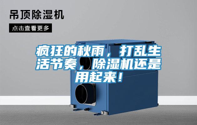 瘋狂的秋雨，打亂生活節(jié)奏，除濕機還是用起來！