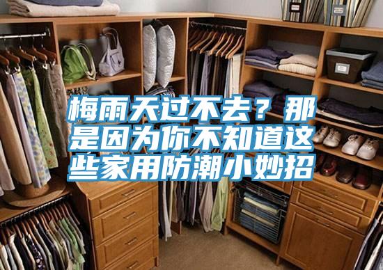 梅雨天過(guò)不去？那是因?yàn)槟悴恢肋@些家用防潮小妙招