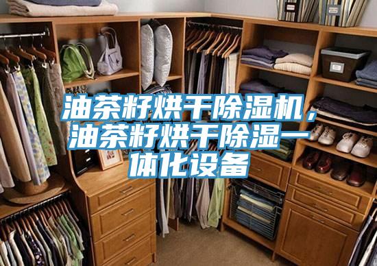 油茶籽烘干除濕機，油茶籽烘干除濕一體化設備