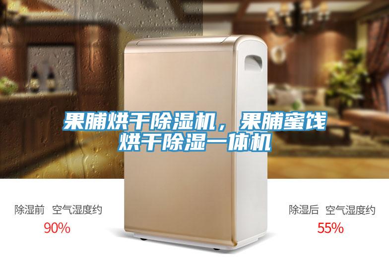 果脯烘干除濕機，果脯蜜餞烘干除濕一體機