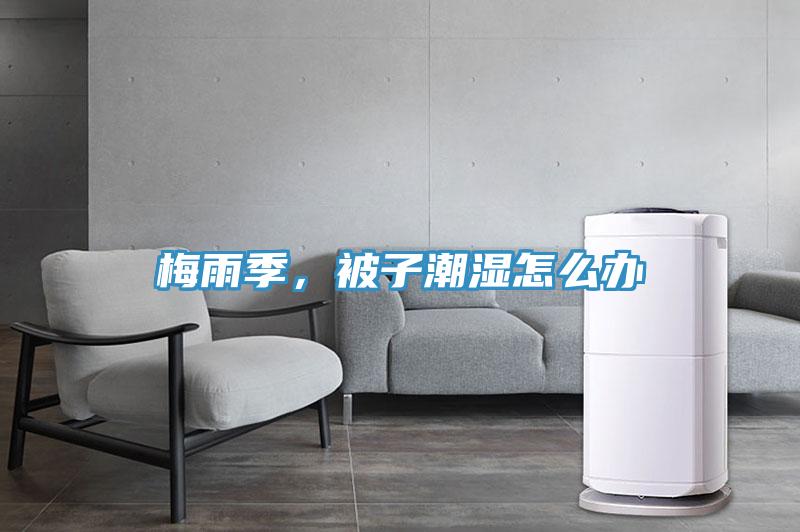 梅雨季，被子潮濕怎么辦