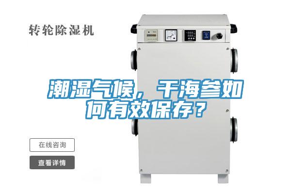 潮濕氣候，干海參如何有效保存？
