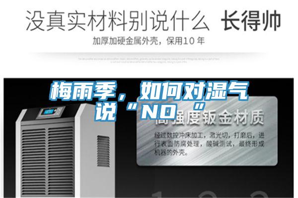 梅雨季，如何對濕氣說“NO ”