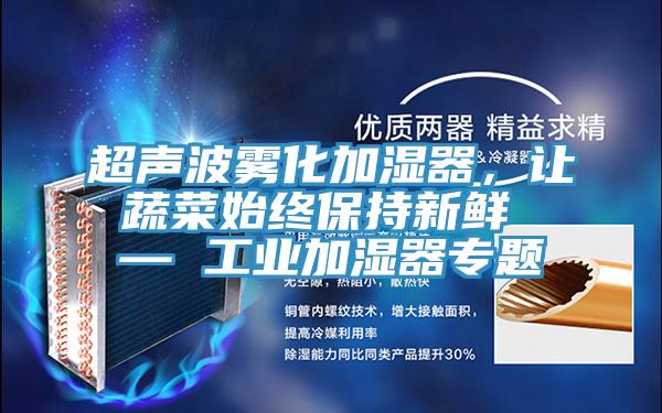 超聲波霧化加濕器，讓蔬菜始終保持新鮮 — 工業(yè)加濕器專題