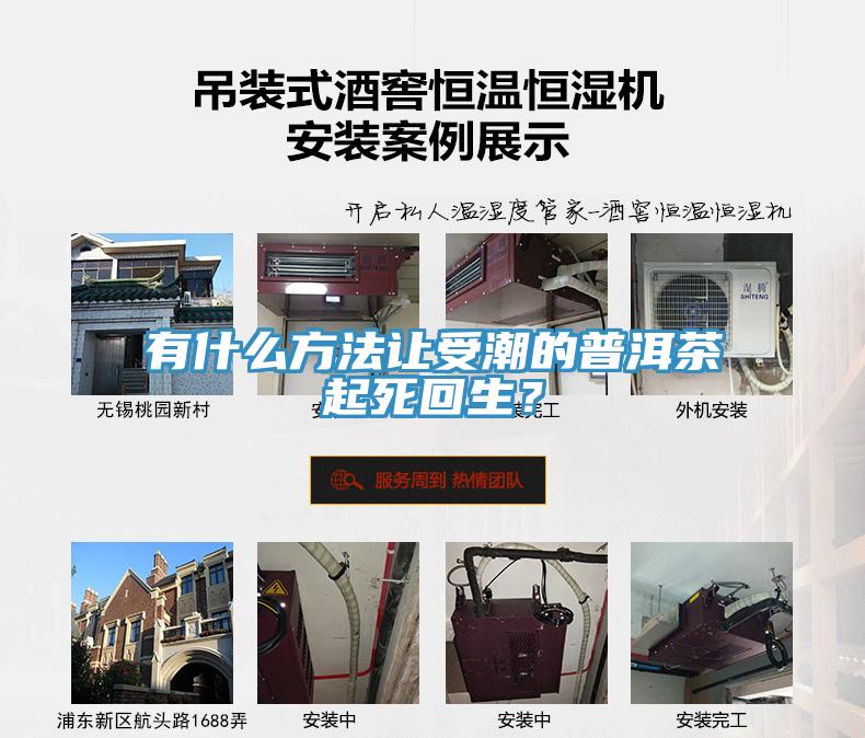 有什么方法讓受潮的普洱茶起死回生？