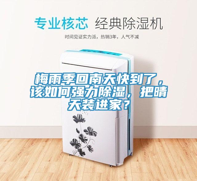 梅雨季回南天快到了，該如何強力除濕，把晴天裝進家？