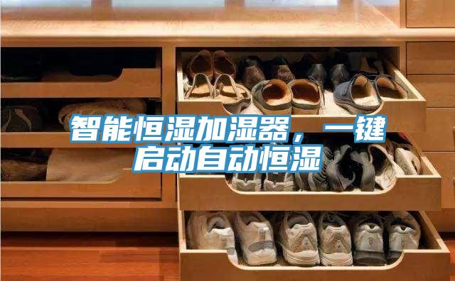 智能恒濕加濕器，一鍵啟動自動恒濕