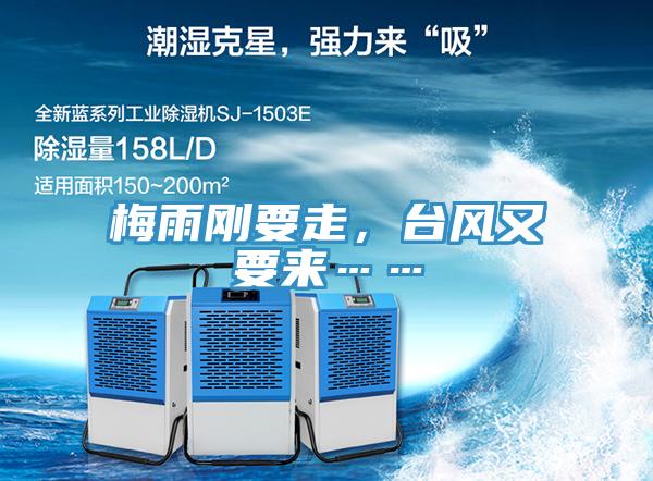 梅雨剛要走，臺風又要來……