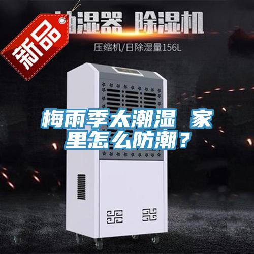 梅雨季太潮濕 家里怎么防潮？