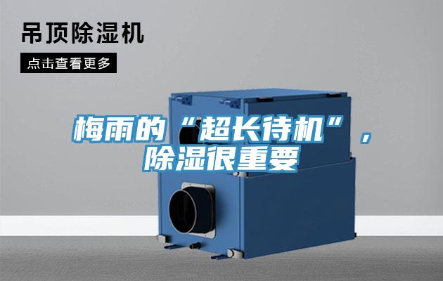 梅雨的“超長待機(jī)”，除濕很重要
