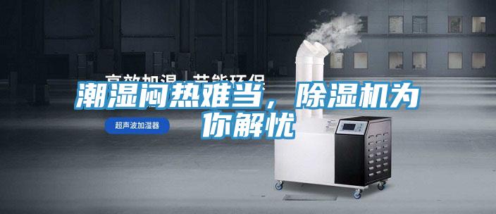 潮濕悶熱難當，除濕機為你解憂