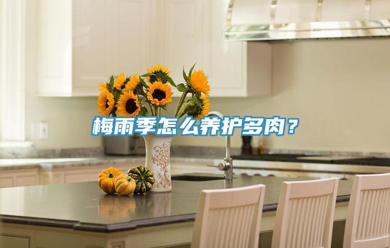 梅雨季怎么養(yǎng)護(hù)多肉？