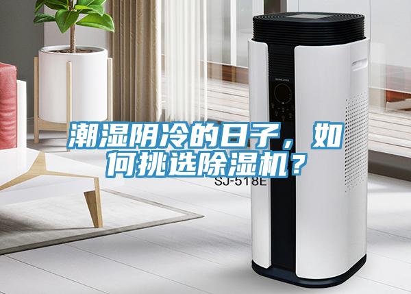 潮濕陰冷的日子，如何挑選除濕機(jī)？