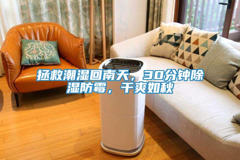 拯救潮濕回南天，30分鐘除濕防霉，干爽如秋