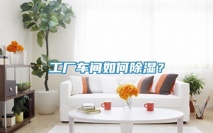 工廠車(chē)間如何除濕？