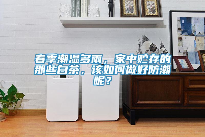 春季潮濕多雨，家中貯存的那些白茶，該如何做好防潮呢？