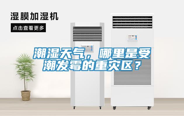 潮濕天氣，哪里是受潮發(fā)霉的重災(zāi)區(qū)？