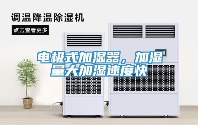 電極式加濕器，加濕量大加濕速度快