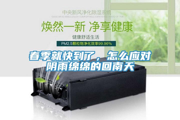 春季就快到了，怎么應(yīng)對陰雨綿綿的回南天