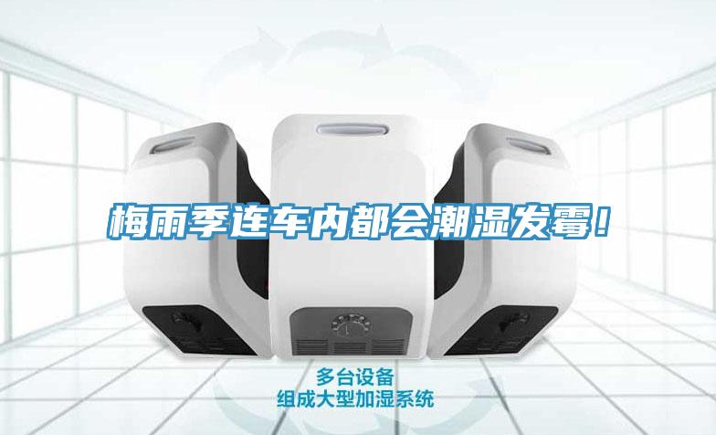 梅雨季連車內(nèi)都會潮濕發(fā)霉！