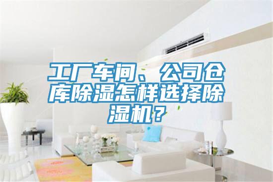 工廠車(chē)間、公司倉(cāng)庫(kù)除濕怎樣選擇除濕機(jī)？