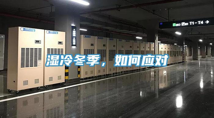 濕冷冬季，如何應(yīng)對(duì)
