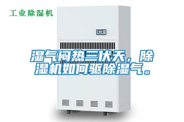 濕氣悶熱三伏天，除濕機如何驅(qū)除濕氣。